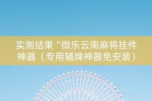 实测结果“微乐云南麻将挂件神器（专用辅牌神器免安装）