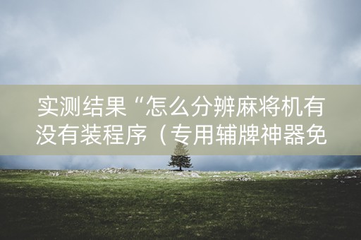 实测结果“怎么分辨麻将机有没有装程序（专用辅牌神器免安装）