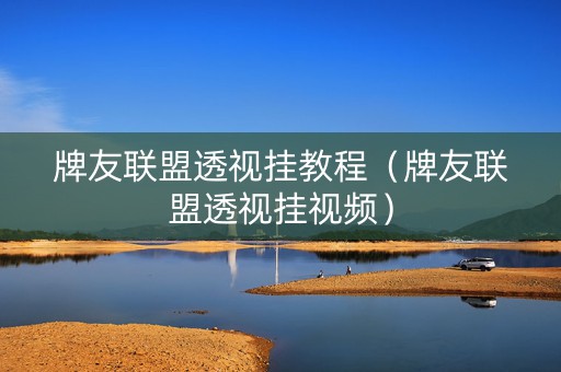 牌友联盟透视挂教程（牌友联盟透视挂视频）
