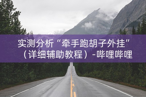 实测分析“牵手跑胡子外挂”（详细辅助教程）-哔哩哔哩