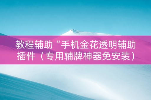 教程辅助“手机金花透明辅助插件（专用辅牌神器免安装）