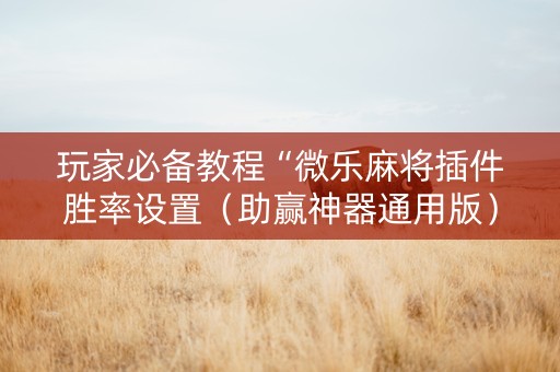 玩家必备教程“微乐麻将插件胜率设置（助赢神器通用版）