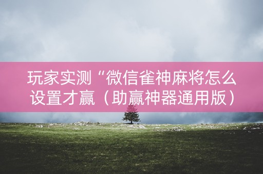 玩家实测“微信雀神麻将怎么设置才赢（助赢神器通用版）