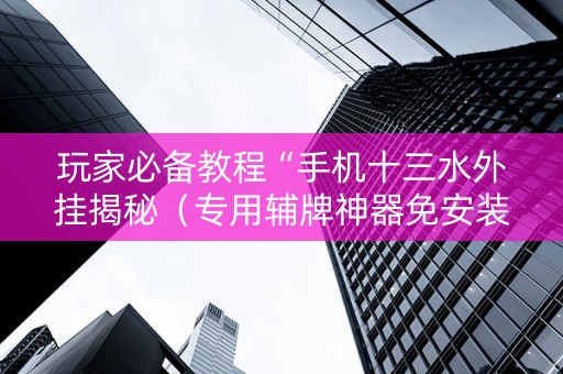 玩家必备教程“手机十三水外挂揭秘（专用辅牌神器免安装）