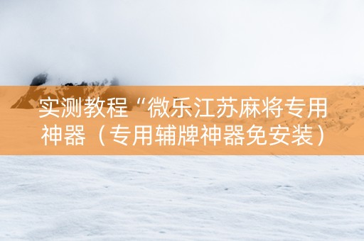 实测教程“微乐江苏麻将专用神器（专用辅牌神器免安装）