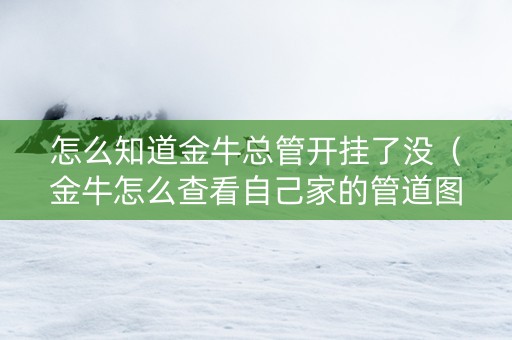 怎么知道金牛总管开挂了没（金牛怎么查看自己家的管道图）