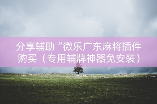 分享辅助“微乐广东麻将插件购买（专用辅牌神器免安装）