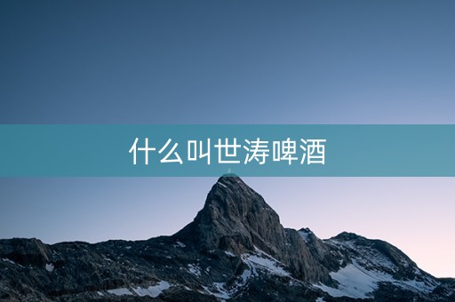什么叫世涛啤酒
