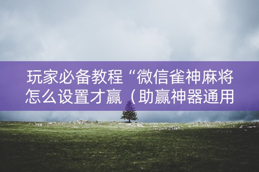 玩家必备教程“微信雀神麻将怎么设置才赢（助赢神器通用版）
