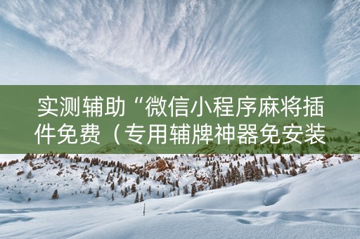 实测辅助“微信小程序麻将插件免费（专用辅牌神器免安装）