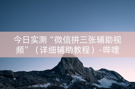 今日实测“微信拼三张辅助视频”（详细辅助教程）-哔哩哔哩
