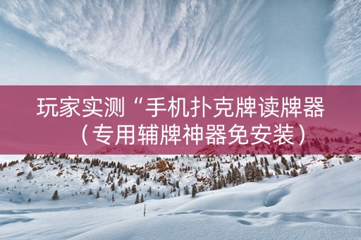 玩家实测“手机扑克牌读牌器（专用辅牌神器免安装）