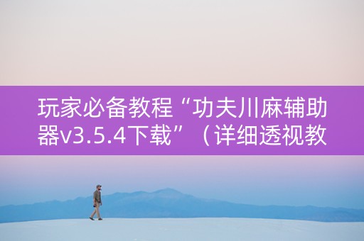 玩家必备教程“功夫川麻辅助器v3.5.4下载”（详细透视教程）-哔哩哔哩