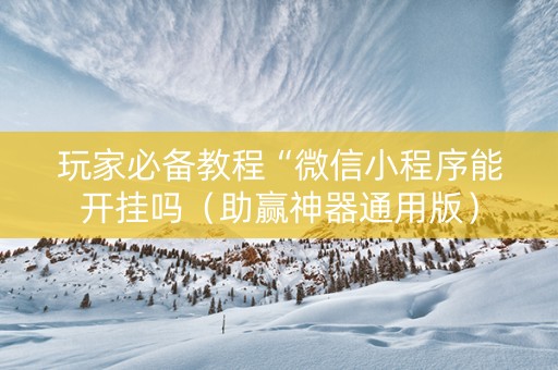玩家必备教程“微信小程序能开挂吗（助赢神器通用版）