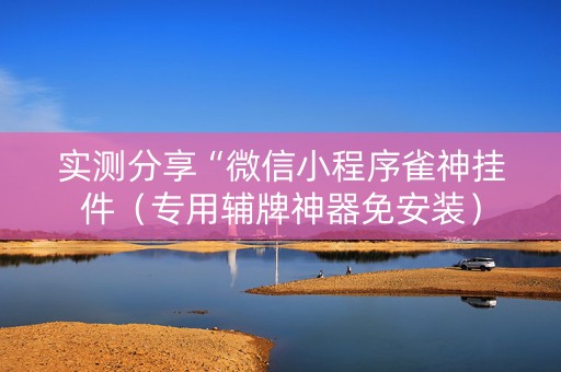 实测分享“微信小程序雀神挂件（专用辅牌神器免安装）