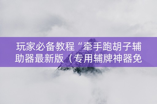 玩家必备教程“牵手跑胡子辅助器最新版（专用辅牌神器免安装）