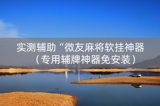 实测辅助“微友麻将软挂神器（专用辅牌神器免安装）