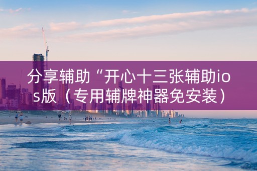 分享辅助“开心十三张辅助ios版（专用辅牌神器免安装）