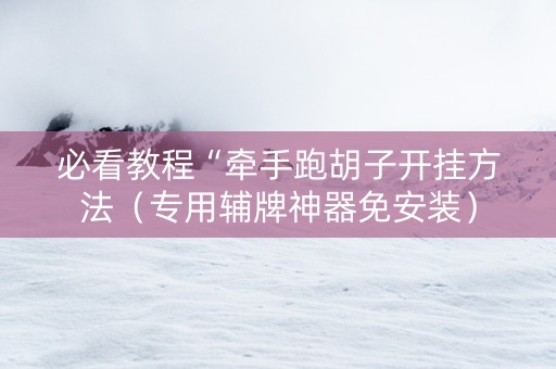必看教程“牵手跑胡子开挂方法（专用辅牌神器免安装）
