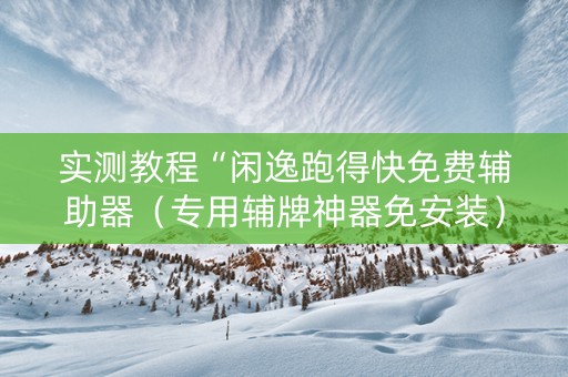 实测教程“闲逸跑得快免费辅助器（专用辅牌神器免安装）
