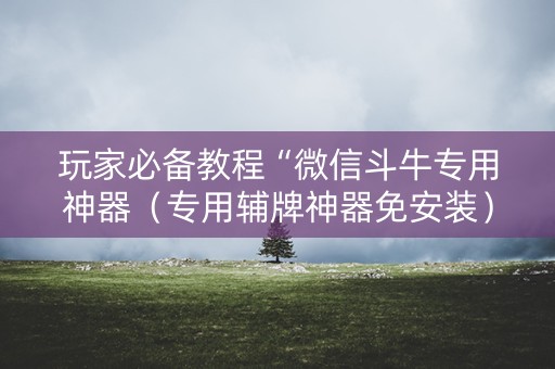玩家必备教程“微信斗牛专用神器（专用辅牌神器免安装）