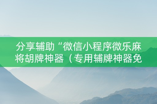 分享辅助“微信小程序微乐麻将胡牌神器（专用辅牌神器免安装）