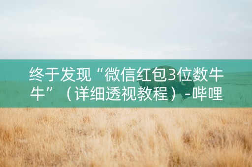 终于发现“微信红包3位数牛牛”（详细透视教程）-哔哩哔哩