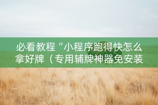 必看教程“小程序跑得快怎么拿好牌（专用辅牌神器免安装）