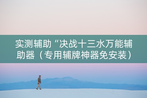 实测辅助“决战十三水万能辅助器（专用辅牌神器免安装）