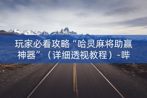 玩家必看攻略“哈灵麻将助赢神器”（详细透视教程）-哔哩哔哩