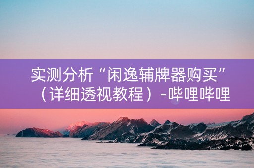 实测分析“闲逸辅牌器购买”（详细透视教程）-哔哩哔哩