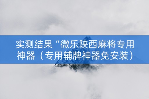 实测结果“微乐陕西麻将专用神器（专用辅牌神器免安装）