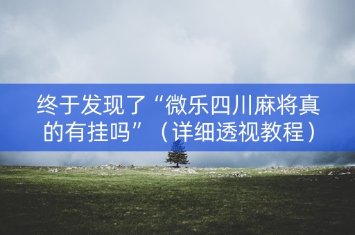 终于发现了“微乐四川麻将真的有挂吗”（详细透视教程）-哔哩哔哩