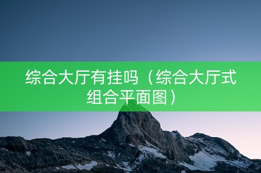 综合大厅有挂吗（综合大厅式组合平面图）