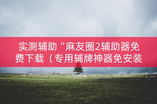 实测辅助“麻友圈2辅助器免费下载（专用辅牌神器免安装）