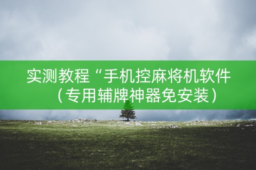 实测教程“手机控麻将机软件（专用辅牌神器免安装）