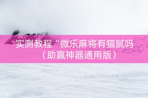 实测教程“微乐麻将有猫腻吗（助赢神器通用版）