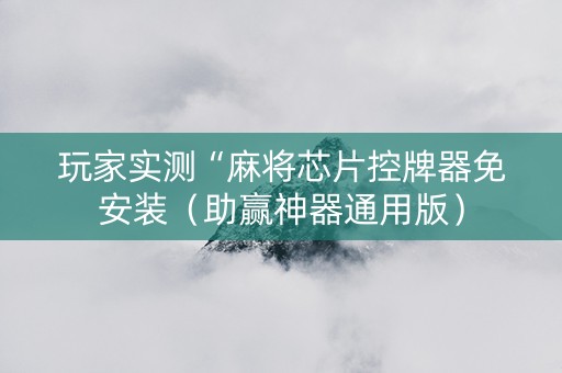 玩家实测“麻将芯片控牌器免安装（助赢神器通用版）