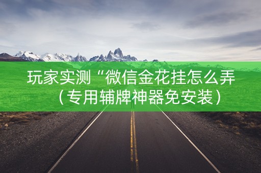玩家实测“微信金花挂怎么弄（专用辅牌神器免安装）