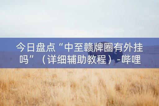 今日盘点“中至赣牌圈有外挂吗”（详细辅助教程）-哔哩哔哩