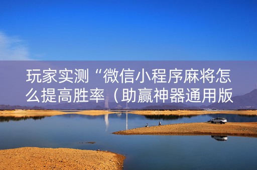 玩家实测“微信小程序麻将怎么提高胜率（助赢神器通用版）