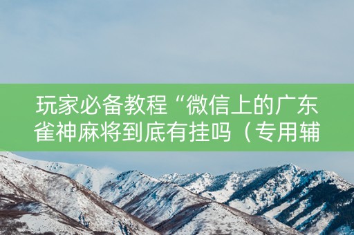 玩家必备教程“微信上的广东雀神麻将到底有挂吗（专用辅牌神器免安装）