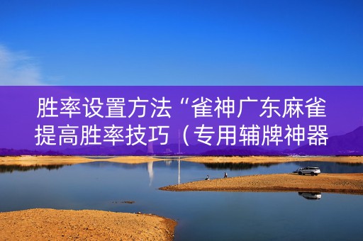 胜率设置方法“雀神广东麻雀提高胜率技巧（专用辅牌神器免安装）