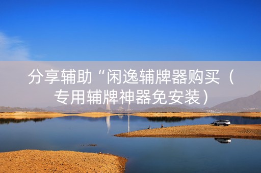 分享辅助“闲逸辅牌器购买（专用辅牌神器免安装）