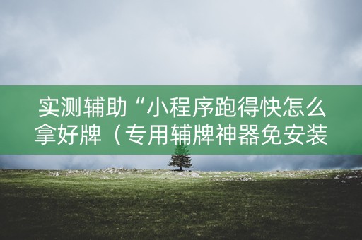 实测辅助“小程序跑得快怎么拿好牌（专用辅牌神器免安装）
