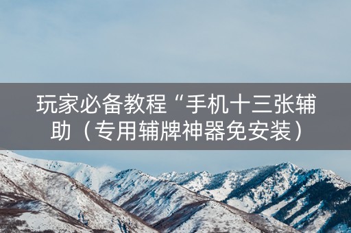 玩家必备教程“手机十三张辅助（专用辅牌神器免安装）