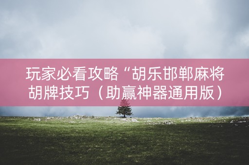 玩家必看攻略“胡乐邯郸麻将胡牌技巧（助赢神器通用版）