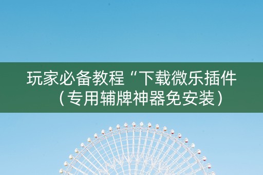 玩家必备教程“下载微乐插件（专用辅牌神器免安装）