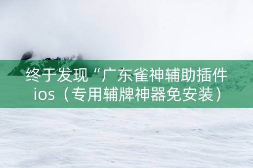 终于发现“广东雀神辅助插件ios（专用辅牌神器免安装）