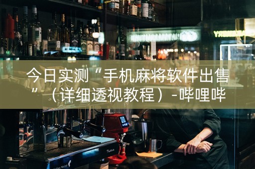 今日实测“手机麻将软件出售”（详细透视教程）-哔哩哔哩